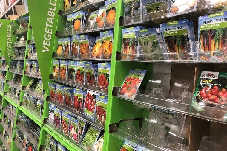 If last spring is any indication, seeds may be hard to come by, if homebound gardeners dive into planting again this year.