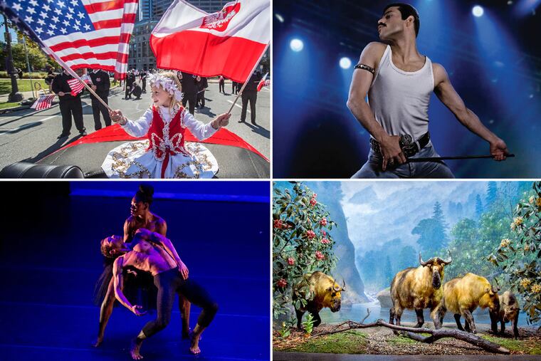 Pulaski Day Parade was on the Benjamin Franklin Parkway (MICHAEL BRYANT / Staff Photographer); Rami Malek as Freddie Mercury in Bohemian Rhapsody (20th Century Fox); The Academy of Natural Sciences (TOM GRALISH / Staff Photographer); Dance Iquail in "Black Swan."