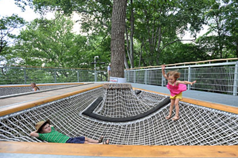 Keith Esterly, 8, and sister Ava, 6, of Pottstown play in the Squirrel Scramble - nets between two trees, roughly 50 feet above ground.