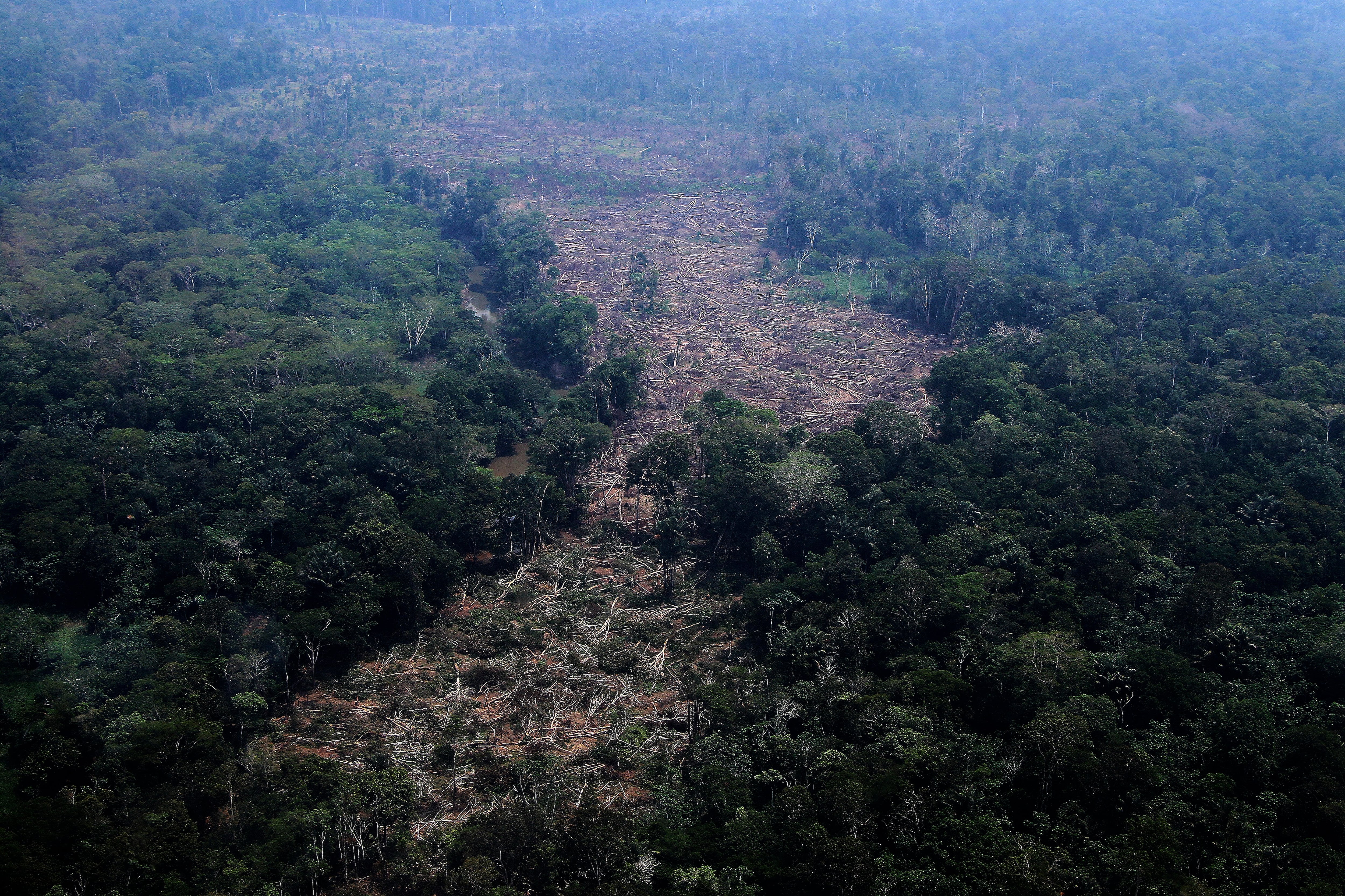 How close is the Amazon to a 'tipping point?' Brazil’s election could help shape its future