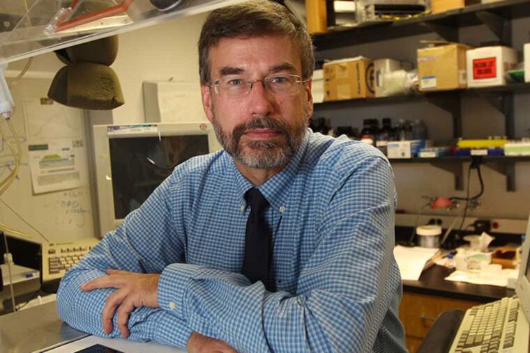 Paul Axelsen, a scientist at Penn, in his lab, helped discover the biochemical pathway by which sarin does its work. Nerve gas is an awful way to go. Your muscles are paralyzed, so you can't breathe. Then there's vomiting, followed by seizures. 09/03/ 2013 ( MICHAEL BRYANT / Staff Photographer )