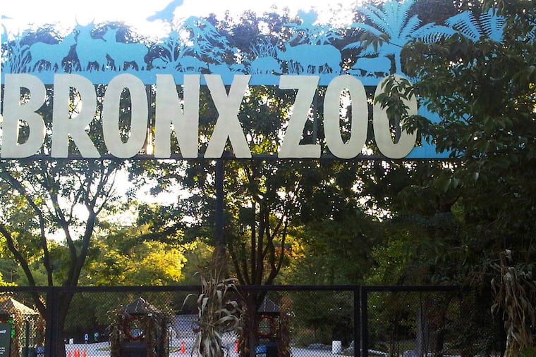 This Sept. 21, 2012, file photo shows an entrance to the Bronx Zoo in New York.
