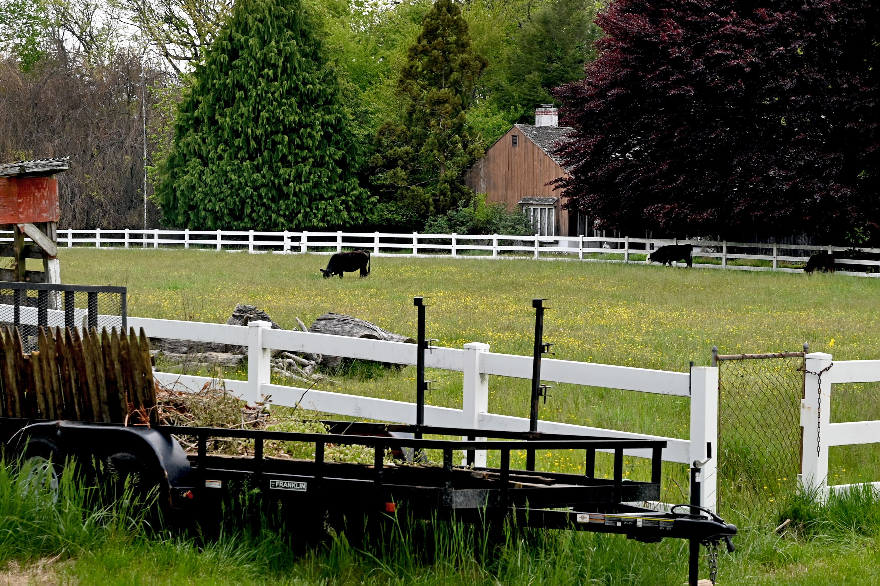 Holly Ravine will become farmland once more as Springdale Farm, the last farm in Cherry Hill, leases the land