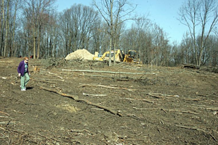 Helen Harvey walks in Houston Meadow. “There used to be millions of trees here,” she said of her Andorra neighborhood. “I’ve watched them all disappear.” In the background is a large pile of sawdust from some of the trees that have been cut down. (BONNIE WELLER / Staff Photographer)