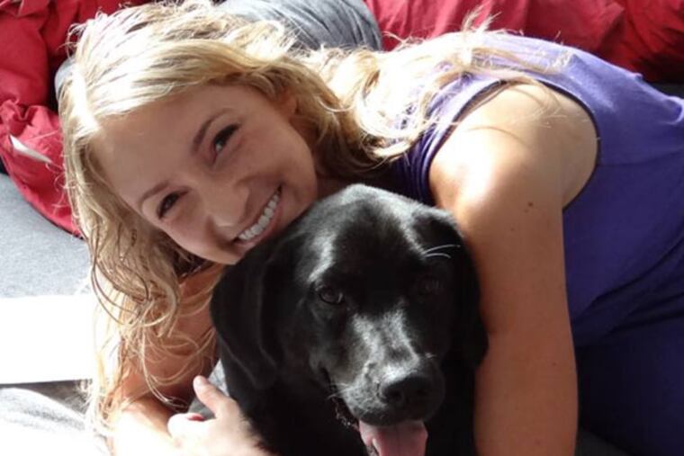 Louie, a black Labrador mix, was in a car when it was stolen from a South Philadelphia parking lot. Louie's owner has taken to social media in an attempt to locate the dog. (Photo from Facebook)