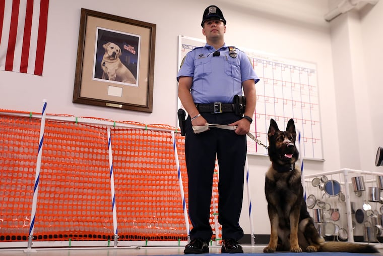 SEPTA Officer Richard Donaldson with Quest, the agency’s new explosives detection dog. Quest
graduated Friday with fellow German shepherd Nero, who will sniff out drugs for the Norristown
police.