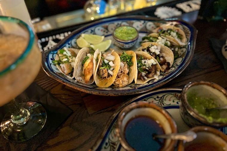 Celebrate Cinco de Mayo with both margaritas and cultural activities, like tacos and Mexican street food at Cantina La Martina in Kensington.