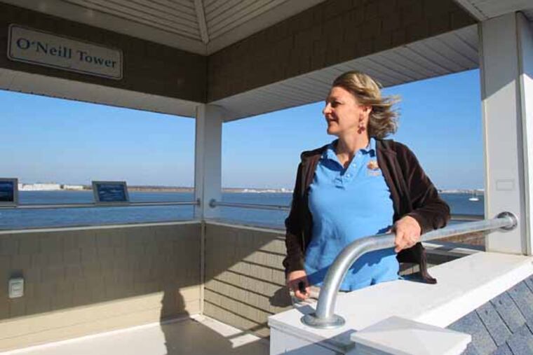 The New Jersey Audubon Society plans to permanently close Rancocas Nature Center in Burlington County and reduce the months that Nature Center of Cape May are open to the public. Audubon says it's responding to budgetary and funding contraints. Nature Center of Cape May Director Gretchen Whitman looks out over the Cape May Harbour from the Center's O'Neill Tower. ( Charles Fox / Staff Photographer )