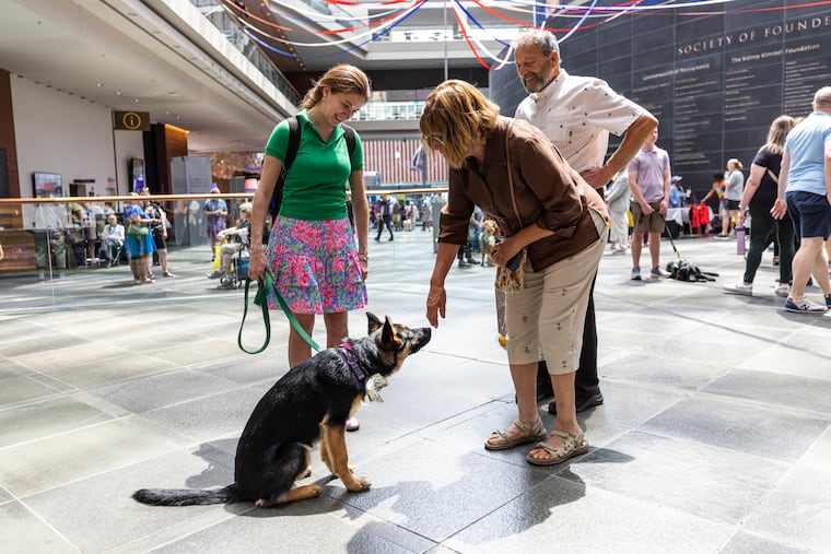 Kalie Desimone of Montgomery County and Samantha, a 5-month-old German shepherd, greets Frances Rosenblum of Doylestown, in the lobby of the Kimmel Center on Saturday.