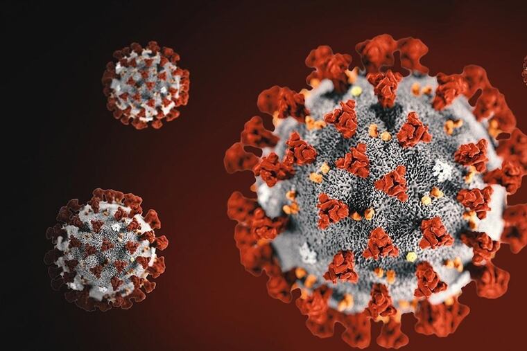 The delta variant of SARS-CoV-2, the virus that causes COVID-19, has been making headlines as it has quickly become the most prevalent strain in America.