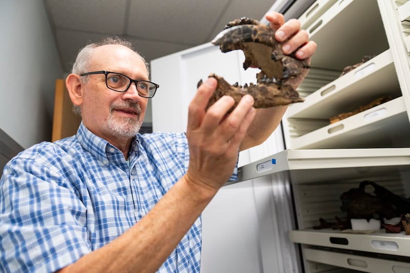 Biologic Icon Science The Academy of Natural Sciences museum is closing, but all eyes are on ...