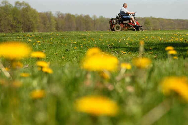 Having a cropped, uniform lawn also has long been a way of keeping up with the Joneses. But do younger generations really aspire to murder the clover, the wild violet, the dead nettle and the dandelions in the name of impressing their neighbors?