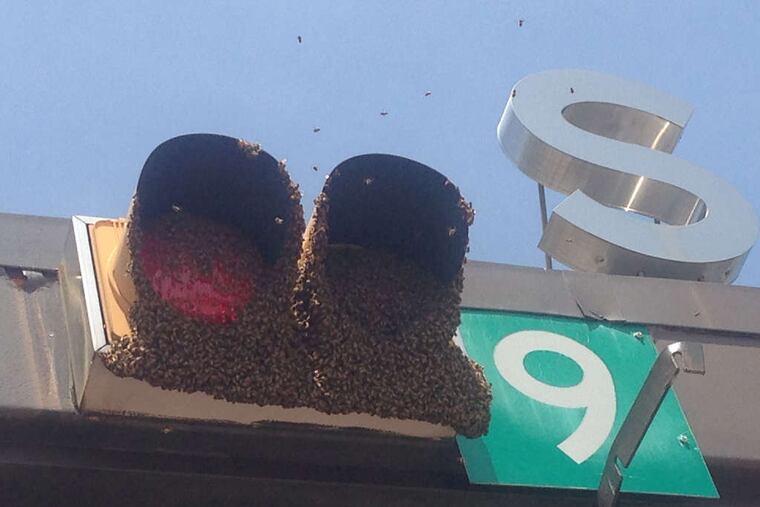 The bees descended on a canopy linking three toll booths, slowing traffic and driving toll collectors from their booths before the Philadelphia Bee Co. took the bees away.