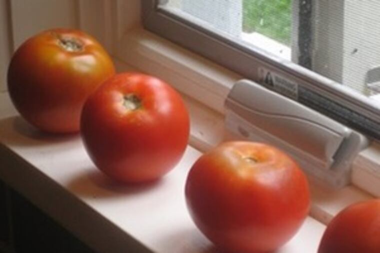 These Jetstar tomatoes hail from Washington Boro, Pa.