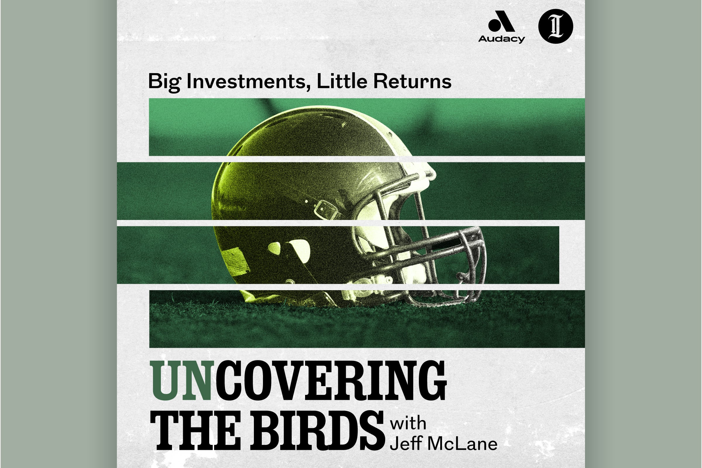 unCovering the Birds: Big Investments, Little Returns