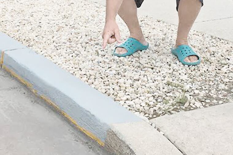Dave Garison, 56, of Drexel Hill, Pa., and Sea Isle City, N.J., points to where the city painted over his second try at yellow in front of his house on Landis Avenue. He went to court Thursday, July 9, 2015. (STAFF)