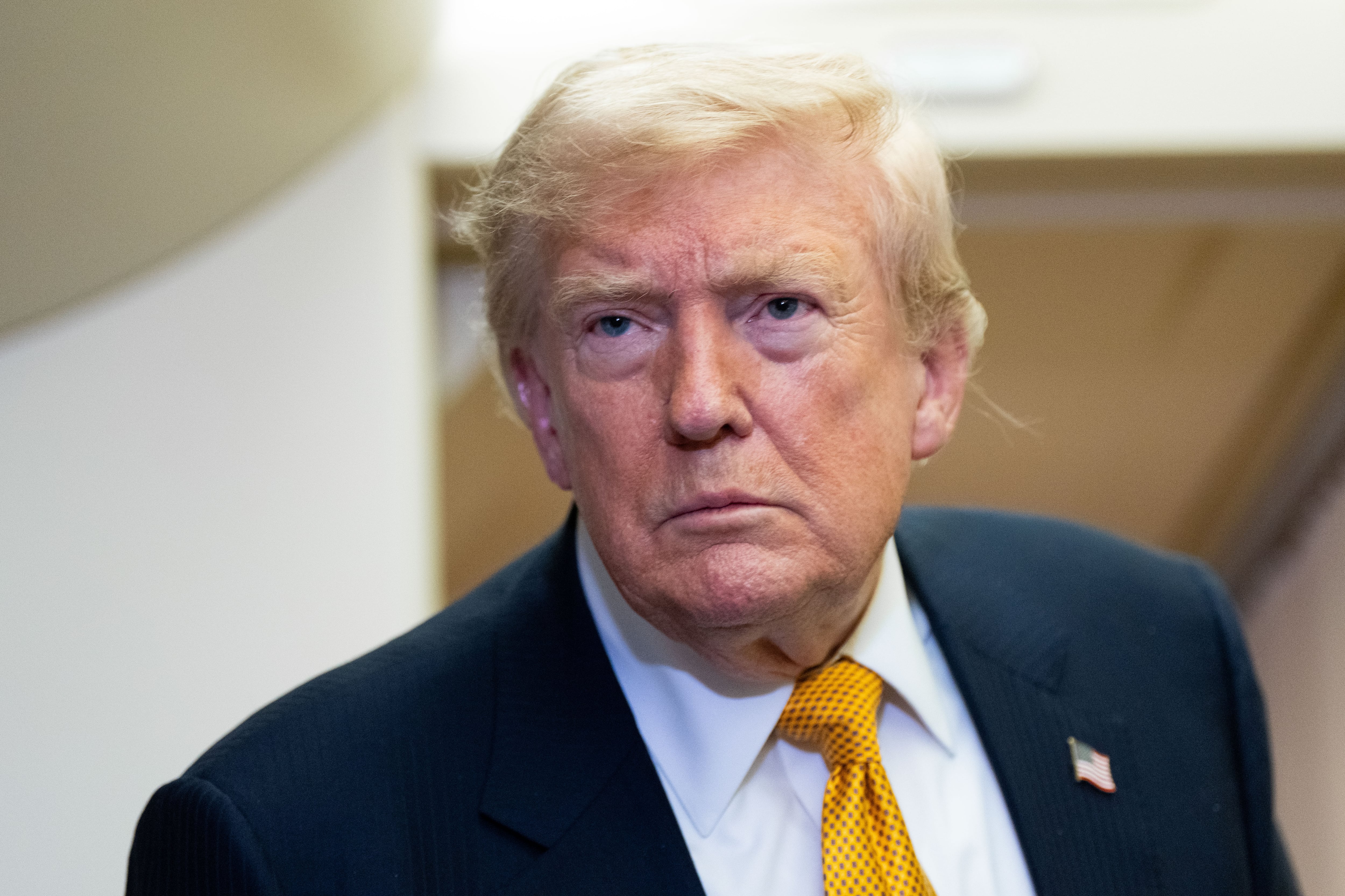 Trump fires members of bipartisan elections commission