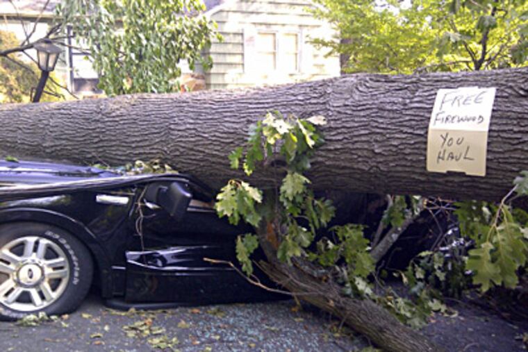 A sign on a tree that toppled onto a car in Falls Church, Va., offers free firewood. The scene was among many depicting the recent East Coast storm's destruction. MATTHEW BARAKAT / Associated Press