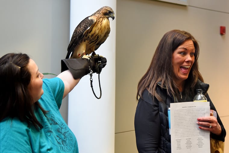 Jen Van Istendal with the Woodford Cedar Run Wildlife Refuge in Medford holds Aldora, an 18 year-old red-tailed hawk as Nicole Wythe (right), of Galloway, tries to convince her daughter to stand close for a photo, at Lines on the Pines at Stockton University. The 14th annual event brings together dozens of authors, artists, artisans and musicians who live in or are inspired by the NJ Pinelands. Aldora, whose name mean "winged gift" in Greek, arrived the refuge as a juvenile on Christmas Day 2001, after being hit by a car, and blinded in one eye.