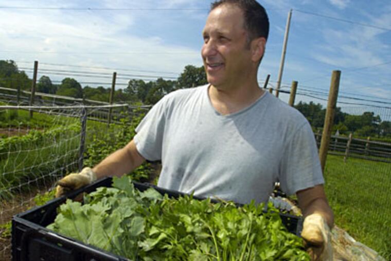 His tray is brimful of the bounty Mitch Prensky has personally picked at the farm outside Newtown Square. (RON TARVER / Staff Photographer)