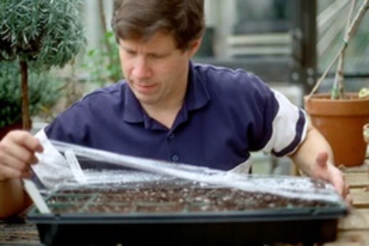 Garden writer Art Wolk says starting seeds indoors in winter saves about 80 percent of what it costs to purchase vegetable and flower seedlings.