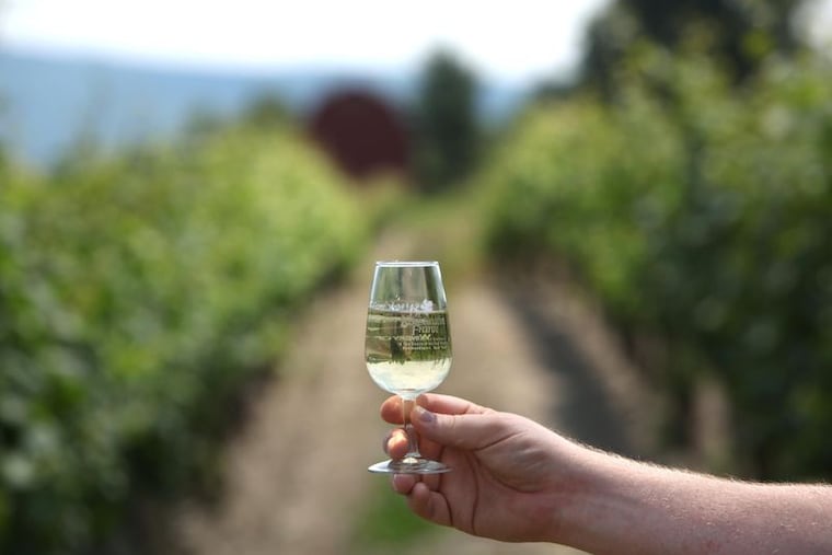A riesling in a glass at the Dr. Konstatin Frank vineyard in Hammondsport, New York. Frank was the first plant to vitis vinifera in the Finger Lakes.