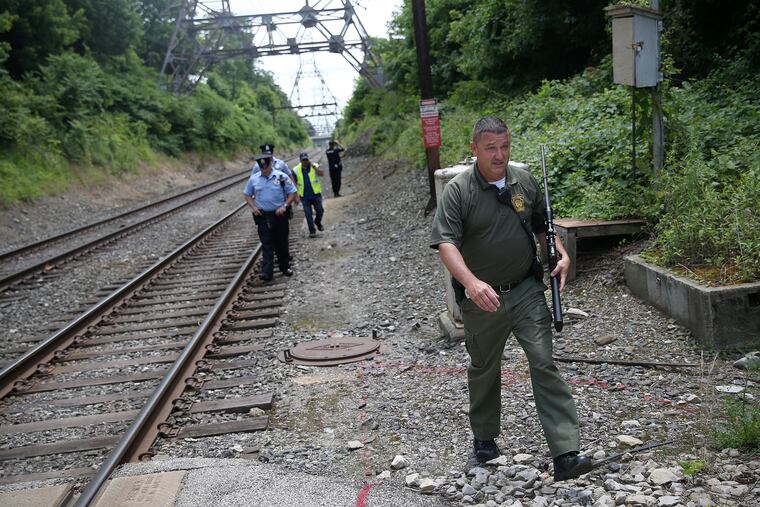 State game warden Jerry Czech, front, Philadelphia Police, and Transit Police officers search for a bear that was spotted on the SEPTA tracks near School House Lane in Philadelphia's East Falls section on Wednesday, June 12, 2019. State game wardens are hoping to catch the bear and relocate it to a more remote area.