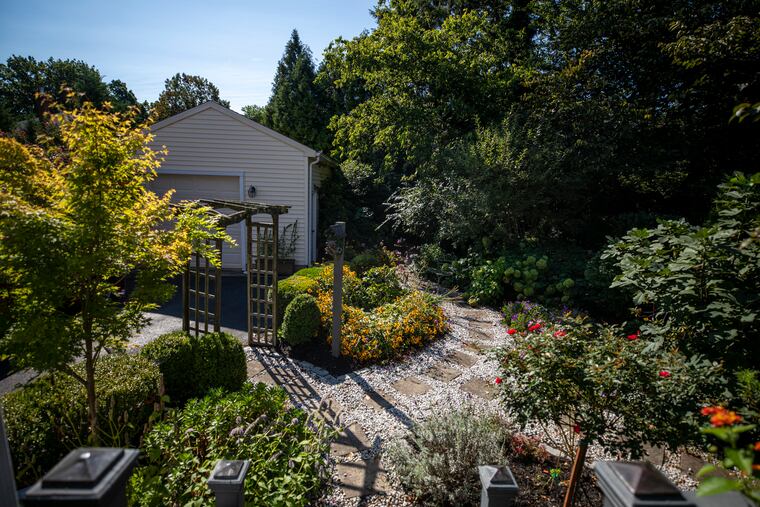 Rosemary Trombetta of Haddonfield has spent 24 years adding an assortment of plants and flowers to her backyard garden, along with a stone and gravel pathway.