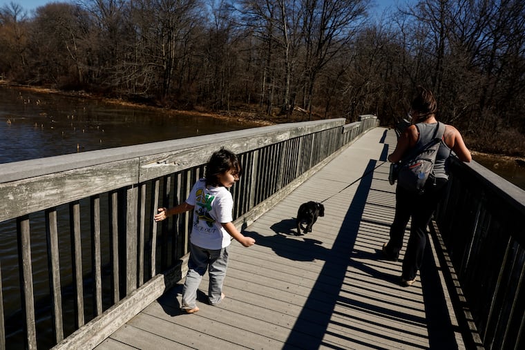 Lucas Fernandez, 4, Shannon Wurtenberger, and their pup Taco, 4 months, walk along the boardwalk at the John Heinz National Wildlife Refuge at Tinicum on Monday. It got even warmer on Tuesday.