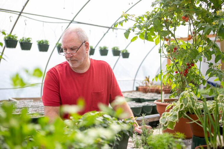 Keith Faust, instructor of horticulture program works on an exhibition for the Philadelphia Flower Show in Mount Holly, NJ on Tuesday, February 18, 2020. A Philadelphia Flower Show exhibition is designed by a group of students JCC students enrolled in the horticulture program.