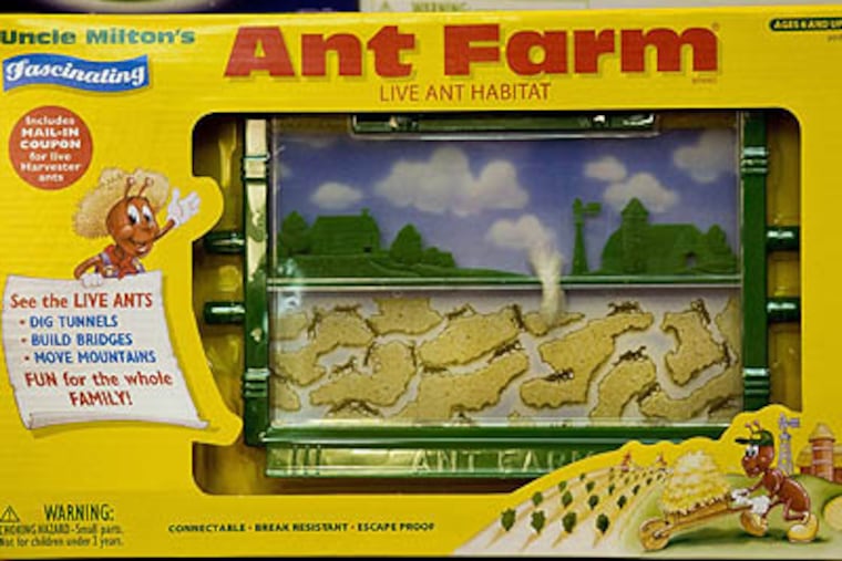 The classic Ant Farm is displayed at Uncle Milton Industries in Westlake Village, California, June 28, 2010.(Ricardo DeAratanha/Los Angeles Times/MCT)
