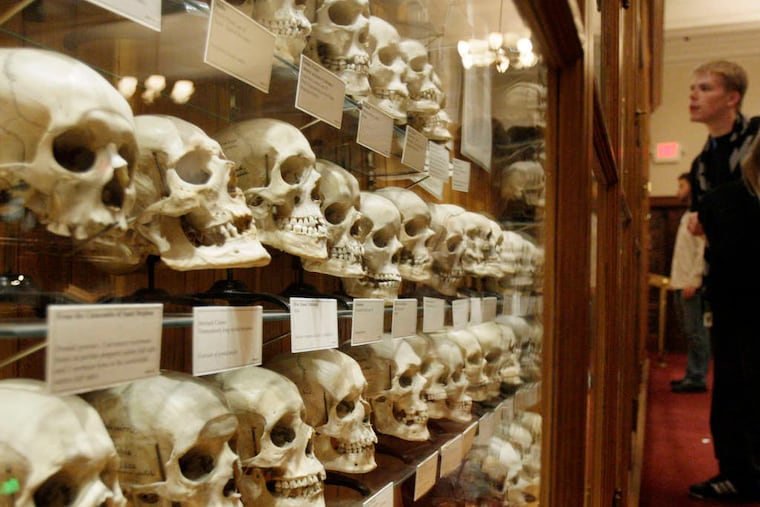 The Mutter Museum is home to the Hyrtl Skull Collection, which displays 139 human skulls.