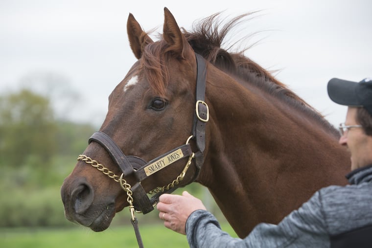 Smarty Jones, now 18, has made his home in Annville, Pa.