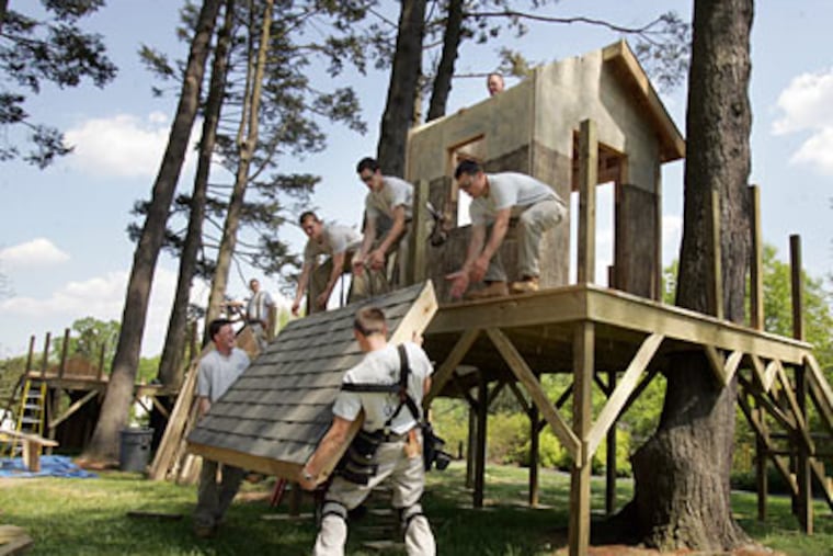 Students from the Williamson Free School of Mechanical Trades hoist a roof onto their tree house at Tyler Arboretum in Media. A Tyler jury selected 16 designs from more than 30 submitted.