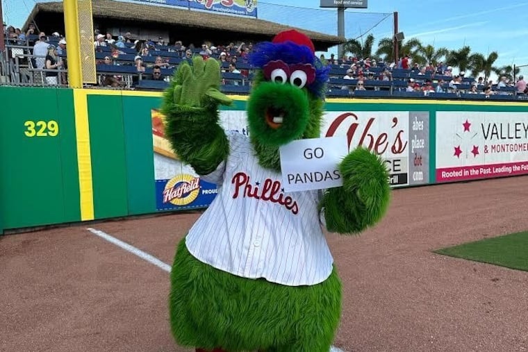 The Phillie Phanatic voted for the Nazareth Academy Pandas.