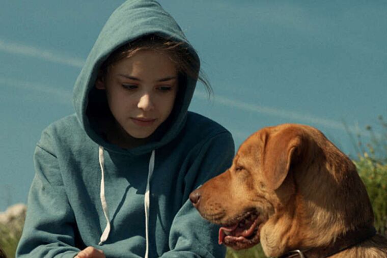 It's a dog's life: Zsófia Psotta and Bodie in Kornél Mundruczó's allegorical drama "White God."