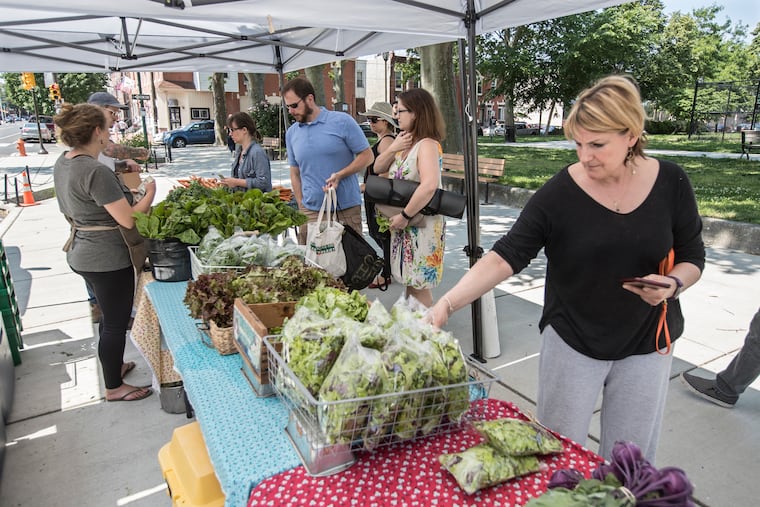 Come summer, vibrant and dog-friendly Dickinson Square Park will host farmers markets like this one, held last summer.