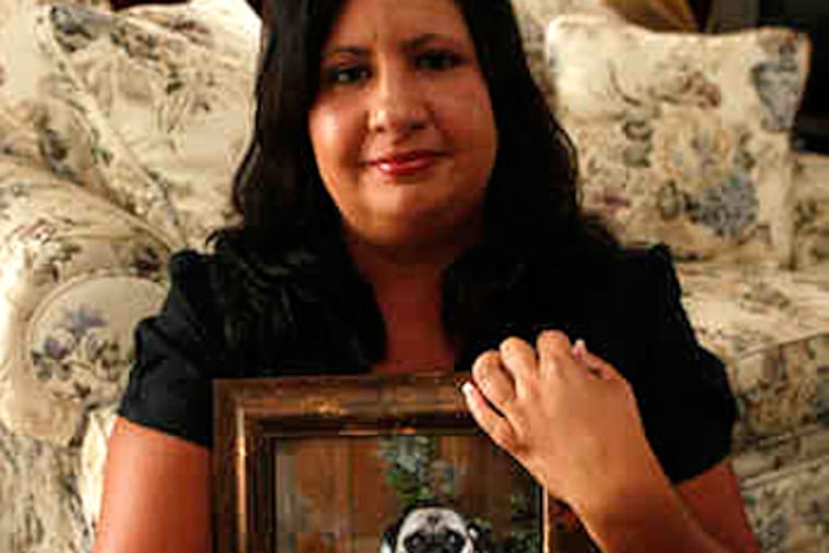 Doreen Houseman holds a portrait of Dexter and one of his favorite toys in her Williamstown home. (Ron Cortes / Staff)