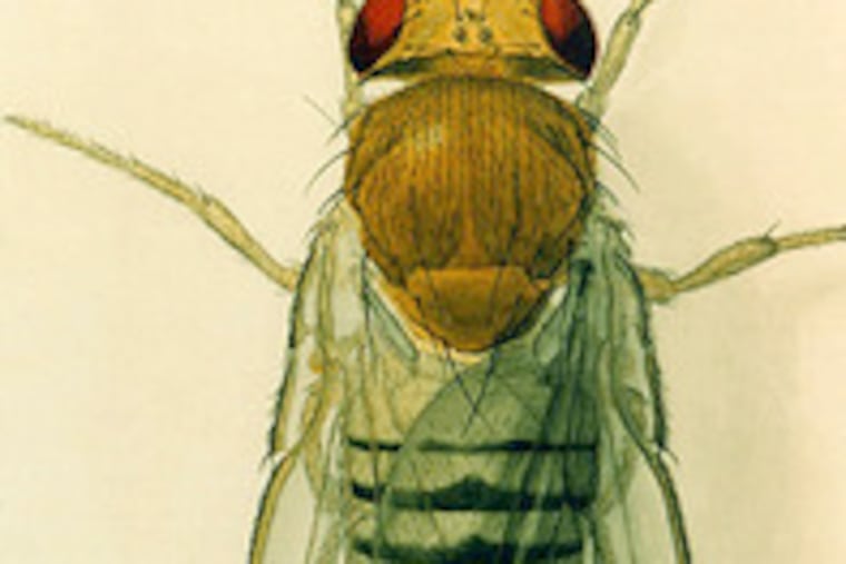 U.S. can't afford cheap shots at science.