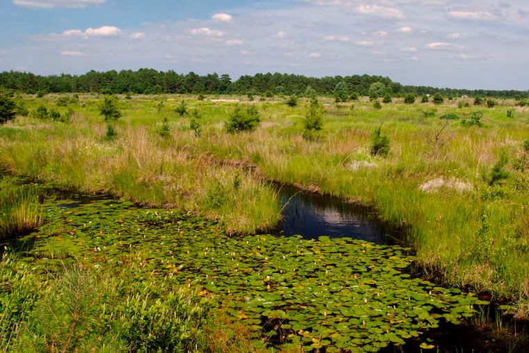 The Franklin Parker Preserve property was bought in 2003 by the New Jersey Conservation Foundation.