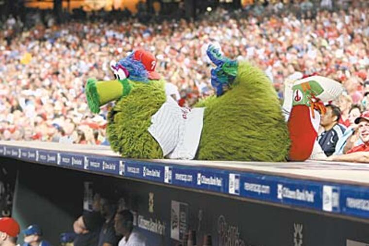 The Phillie Phanatic wears a 35-pound furry getup and dances, at times, in searing heat. But Tom Burgoyne endures. (RON CORTES / Staff Photographer)
