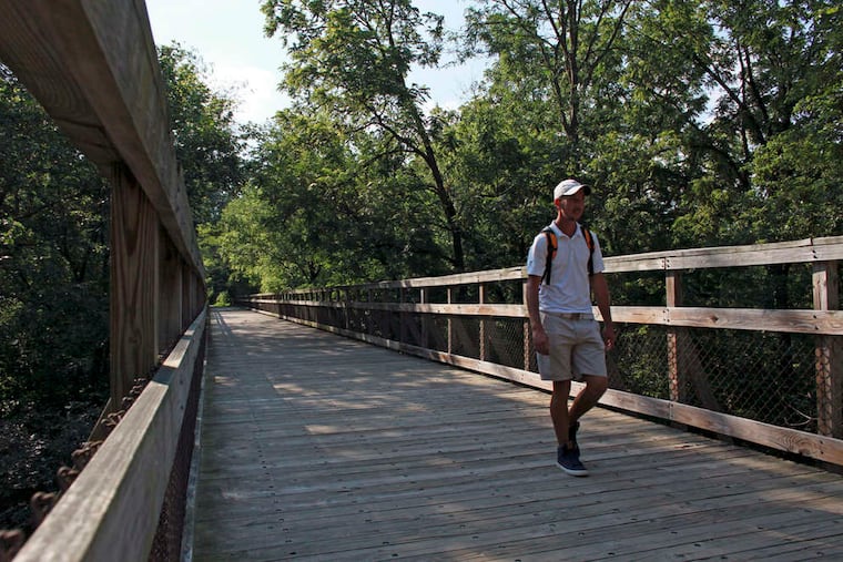 A man in Wissahickon Valley Park walks along a former railroad trestle that's now a pedestrian bridge.