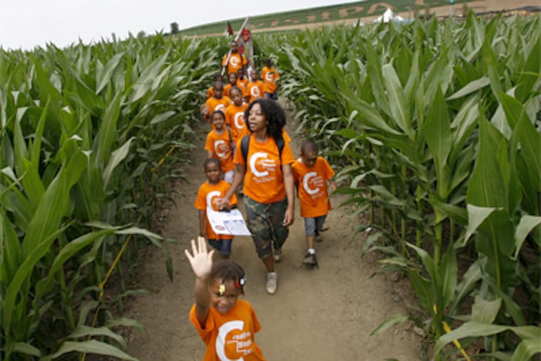 Camp counselor Stephanie Chavers leads the day campers in her group through Cherry Crest Adventure Farm's "Amazing Maize Maze" while supervisor Rohan Arjun brings up the rear with the ladybug flag.( Michael S. Wirtz / Staff Photographer )