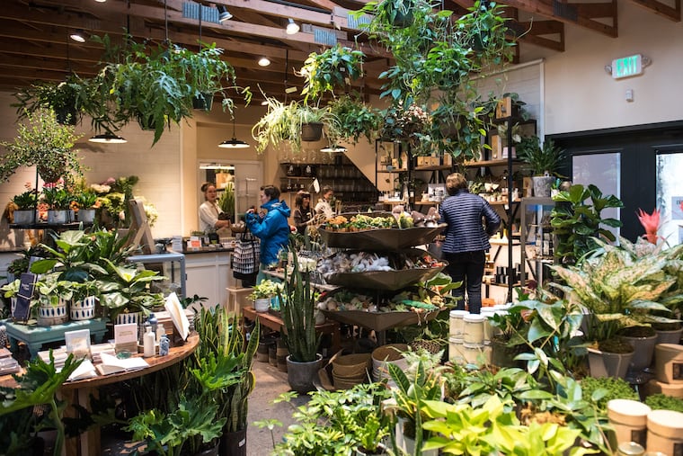 East Falls' Vault + Vine welcomes guest to grab a coffee in its cafe before perusing plants of all kinds and locally crafted goods for sale.