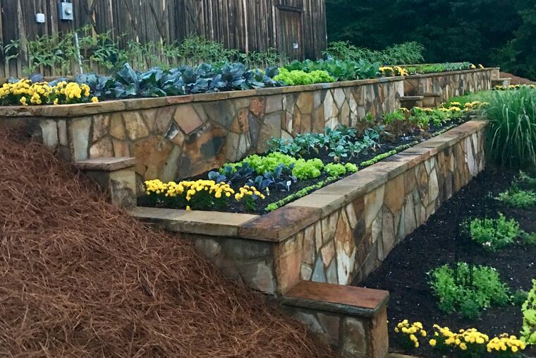 Planting flowers around and amid vegetables beautifies the garden while attracting bees and other beneficial insects.