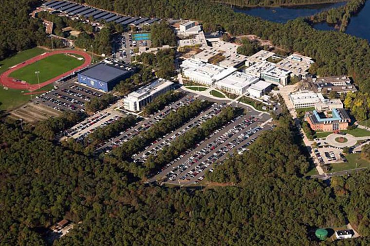 Stockton University is tending to public land in the Pinelands, saving certain tree species from thinning, and buffering areas from insects. Donna Connor Photography