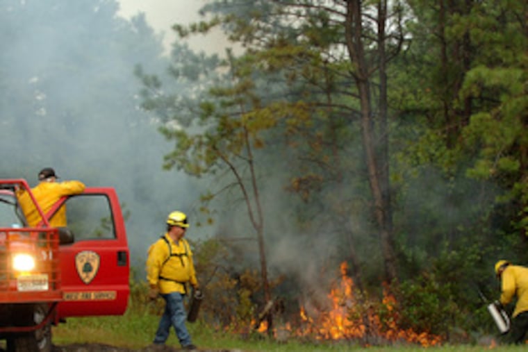 New Jersey State Forest Fire Service firefighters set backfires off Route 206 in Shamong Township to contain the Wharton State Forest blaze. From left, they are Gary Alloway, Steven Pratt and Jason Haines.