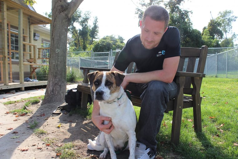 Camden County Animal Shelter staff member Timothy Land pets 5-year-old boxer mix Maria.