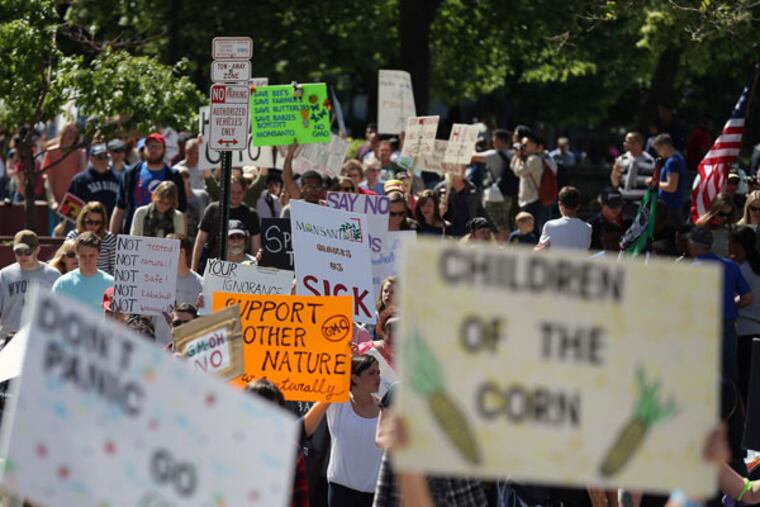Protesters in LOVE Park during a "March Against Monsanto" rally on May 23, 2015. (DAVID MAIALETTI/Staff Photographer)