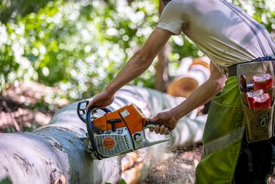 Thread Connectors R 1 2 Pa. loggers and sawmill operators threaten layoffs after Trump tariffs ...
